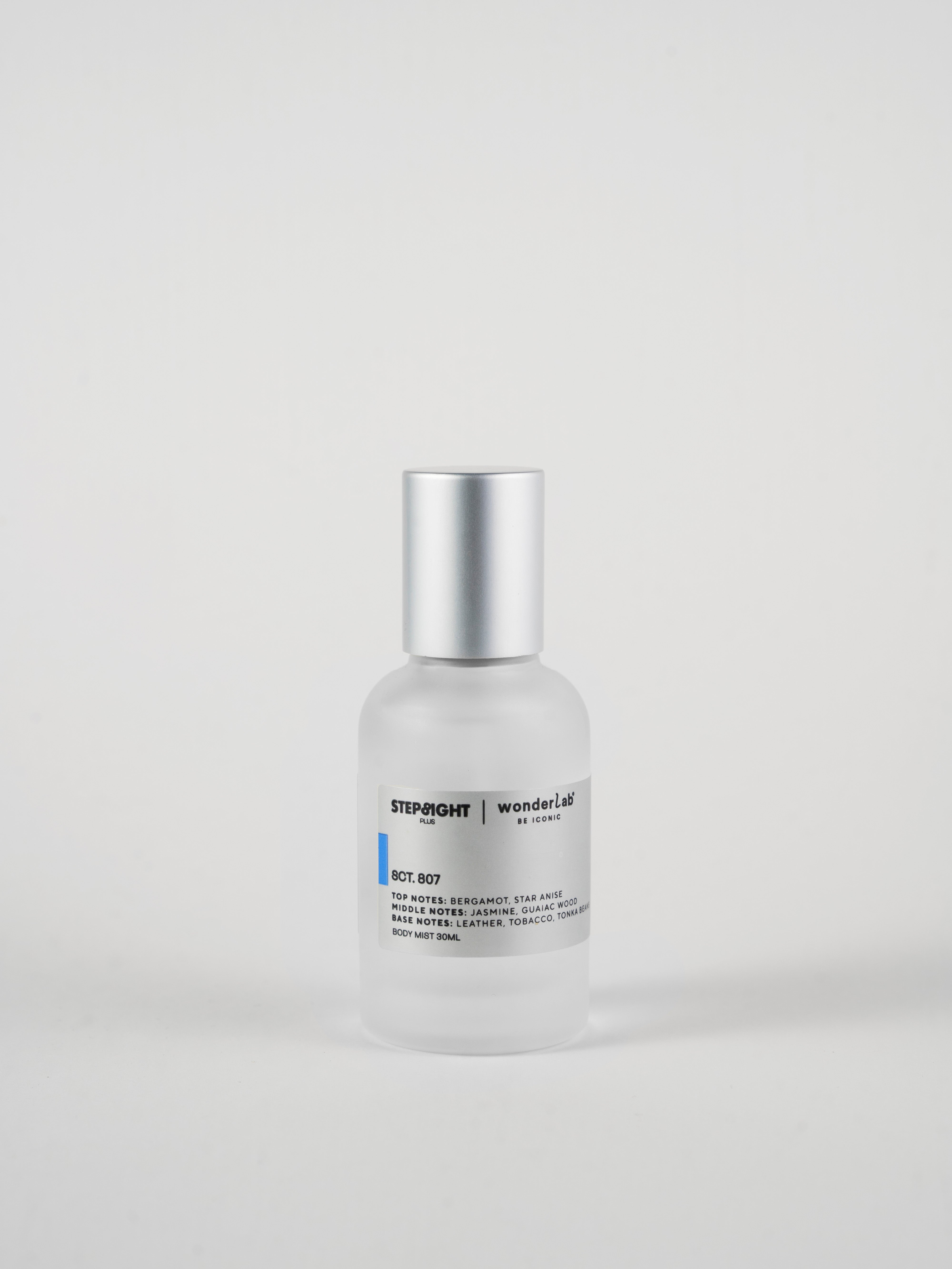 SCT . 807 THE STARRY NIGHT 1889