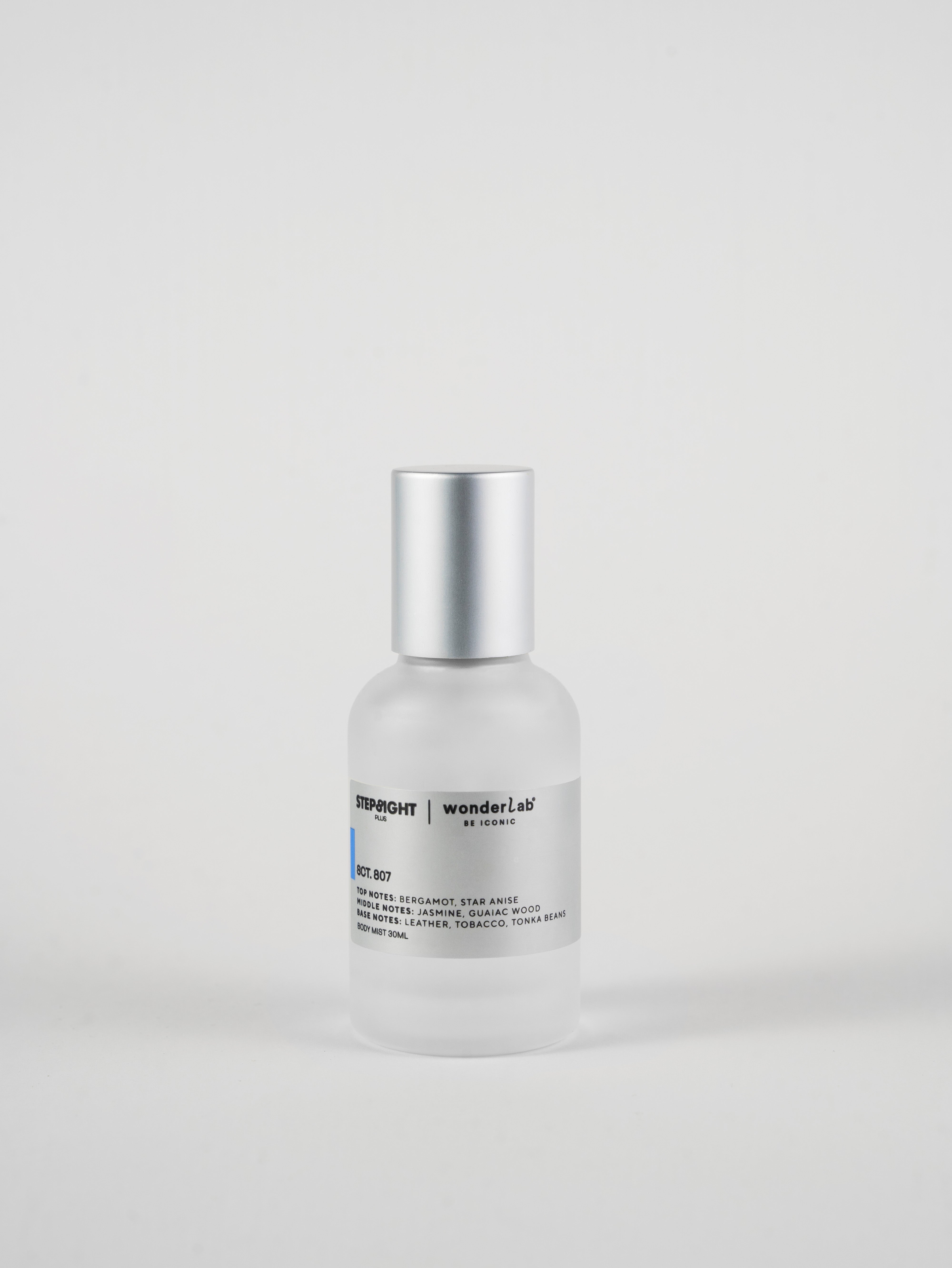 SCT . 807 THE STARRY NIGHT 1889