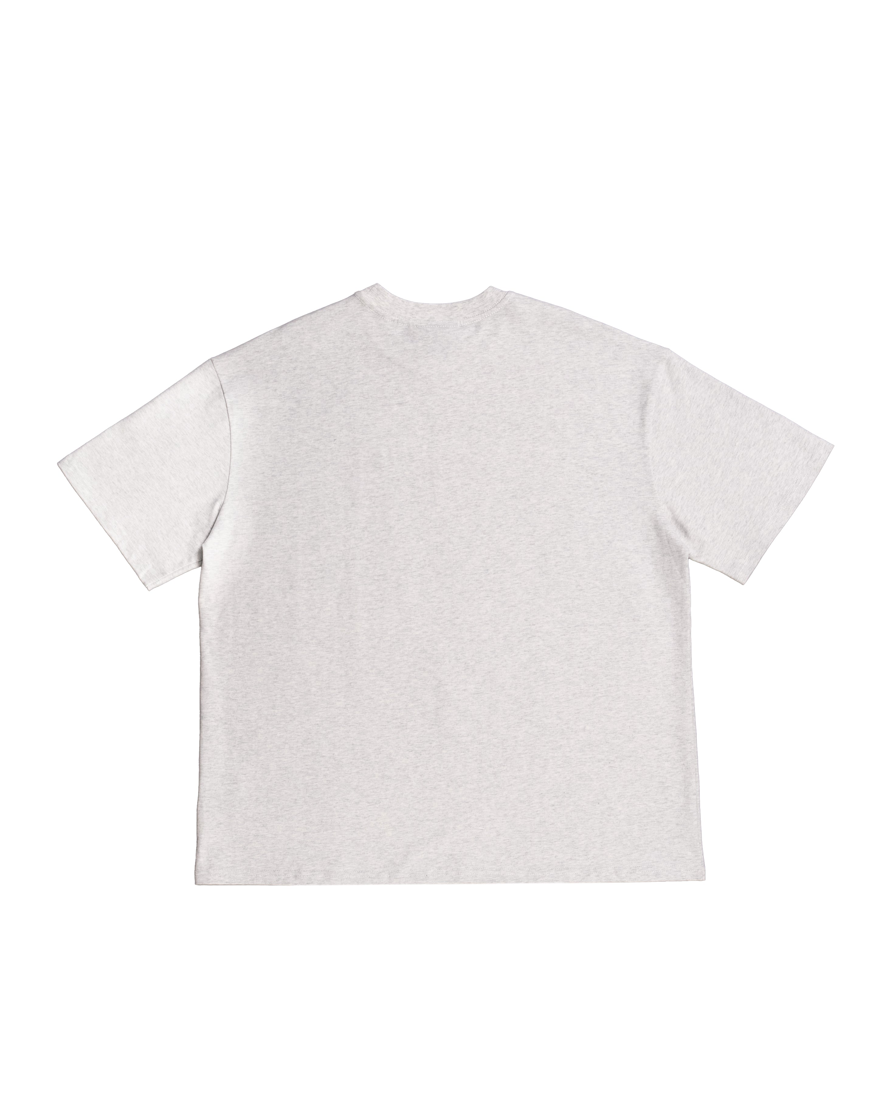 GRAY MORPH TEE