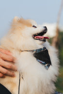 DENIM BOND PET BIB