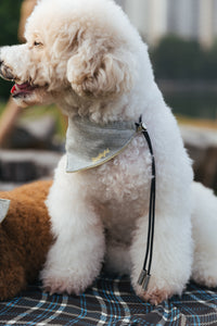 GRAY BOND PET BIB