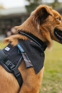 DENIM BOND PET BIB